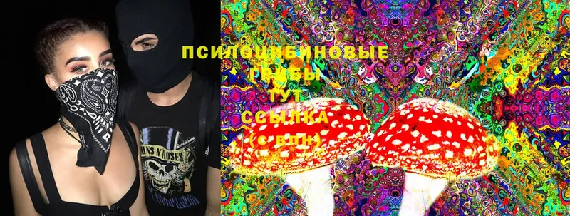 Псилоцибиновые грибы Cubensis  хочу наркоту  Воскресенск 